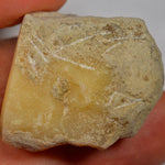 65.8 Carat Large Rather Matte Rough Ethiopian Welo Opal — natural untreated rough Ethiopian Welo opal
