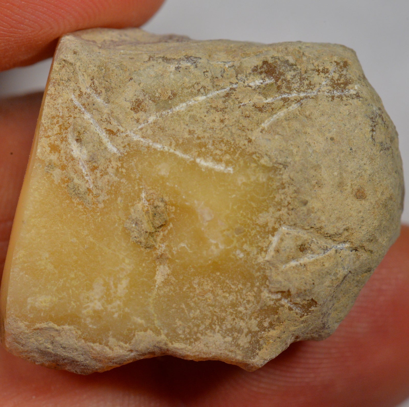 65.8 Carat Large Rather Matte Rough Ethiopian Welo Opal — natural untreated rough Ethiopian Welo opal