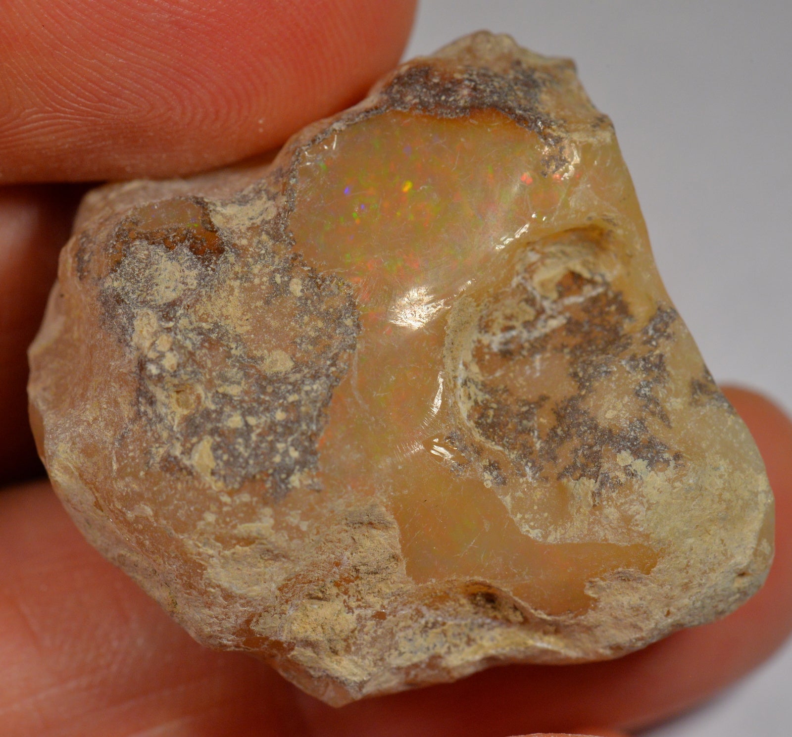 65.8 Carat Large Rather Matte Rough Ethiopian Welo Opal — natural untreated rough Ethiopian Welo opal