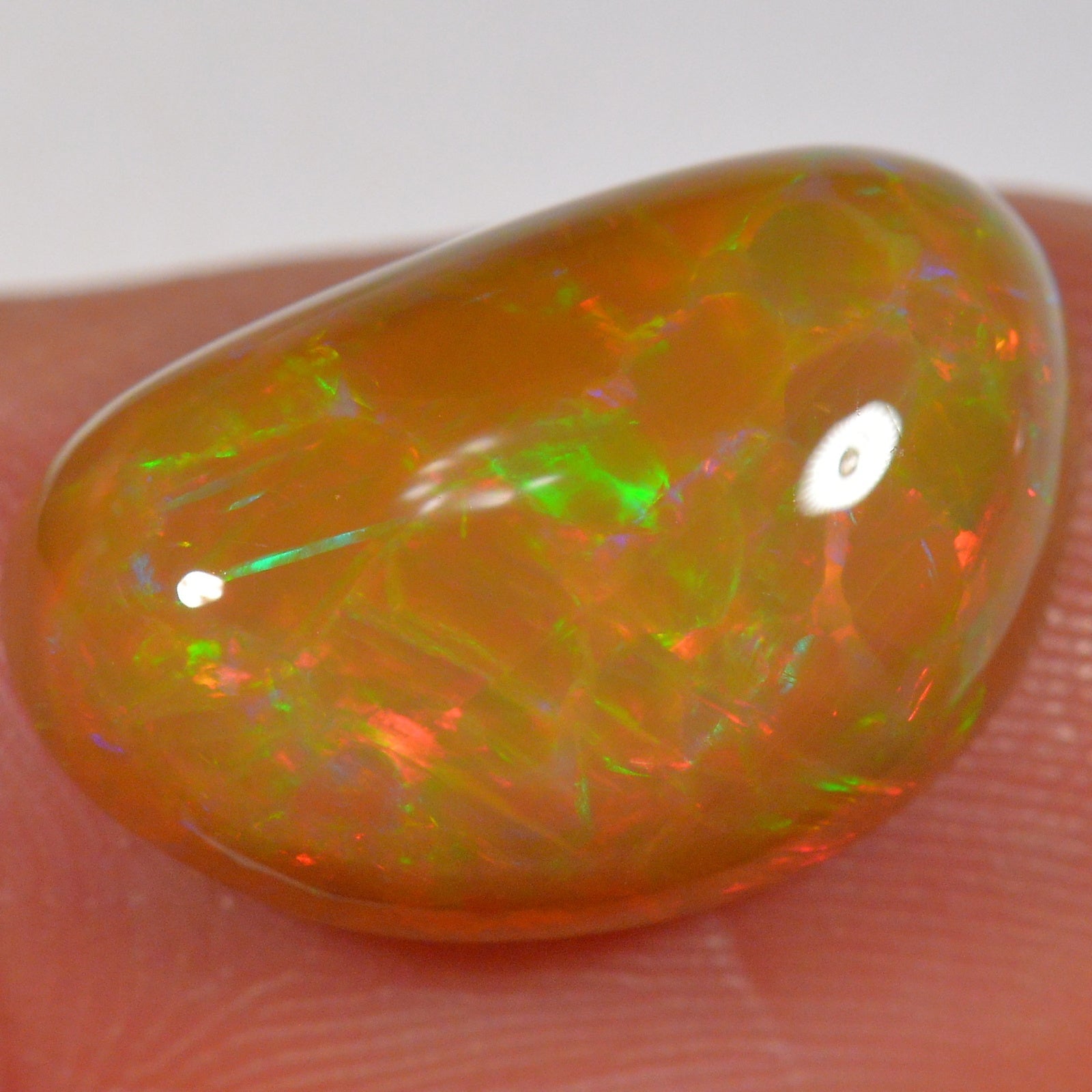 6.6 Carat - Brown Base Cell Pattern - Ethiopian Welo Opal — natural untreated Ethiopian Welo opal