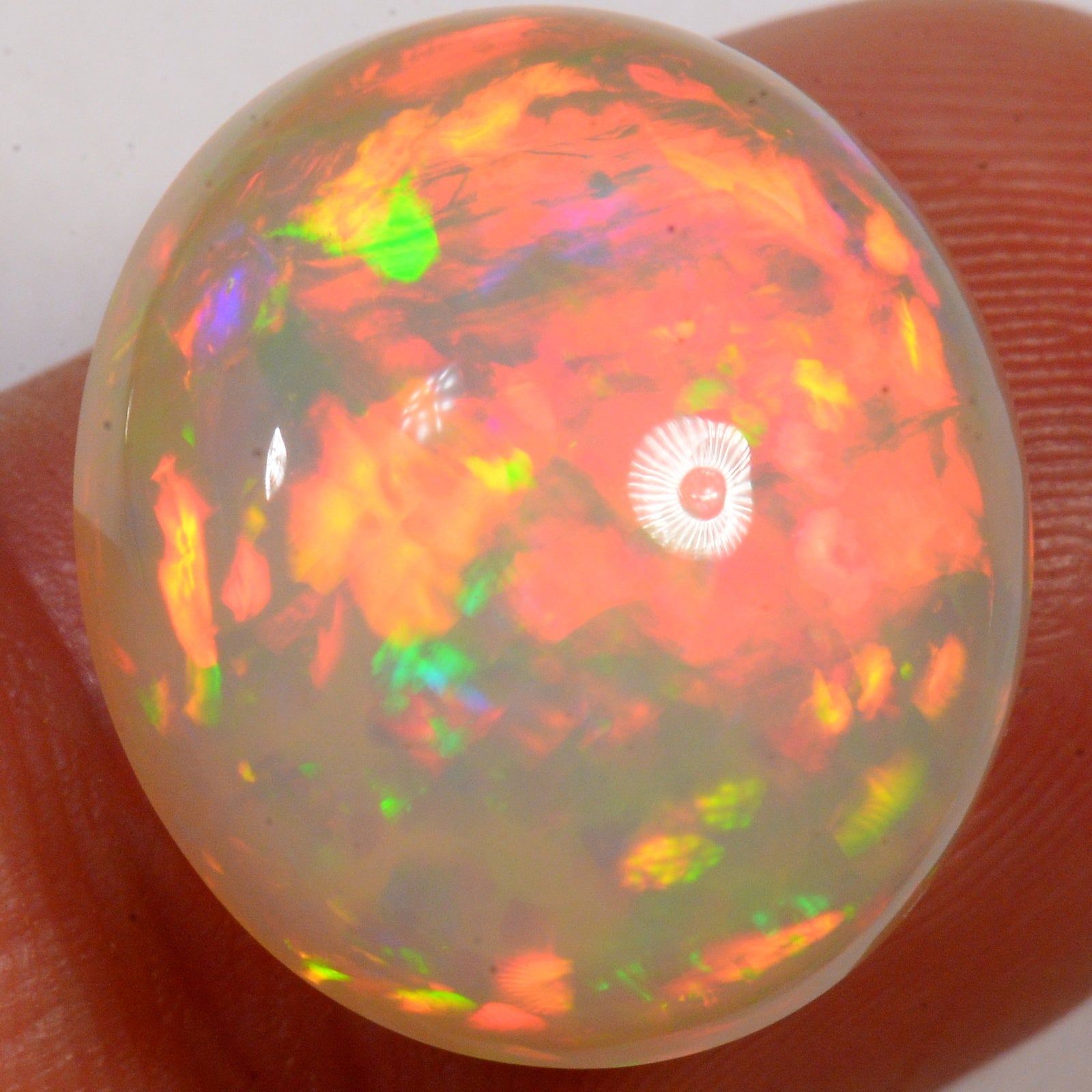 15,5 carats - Opale Welo d'Éthiopie ardente – opale Welo d'Éthiopie naturelle