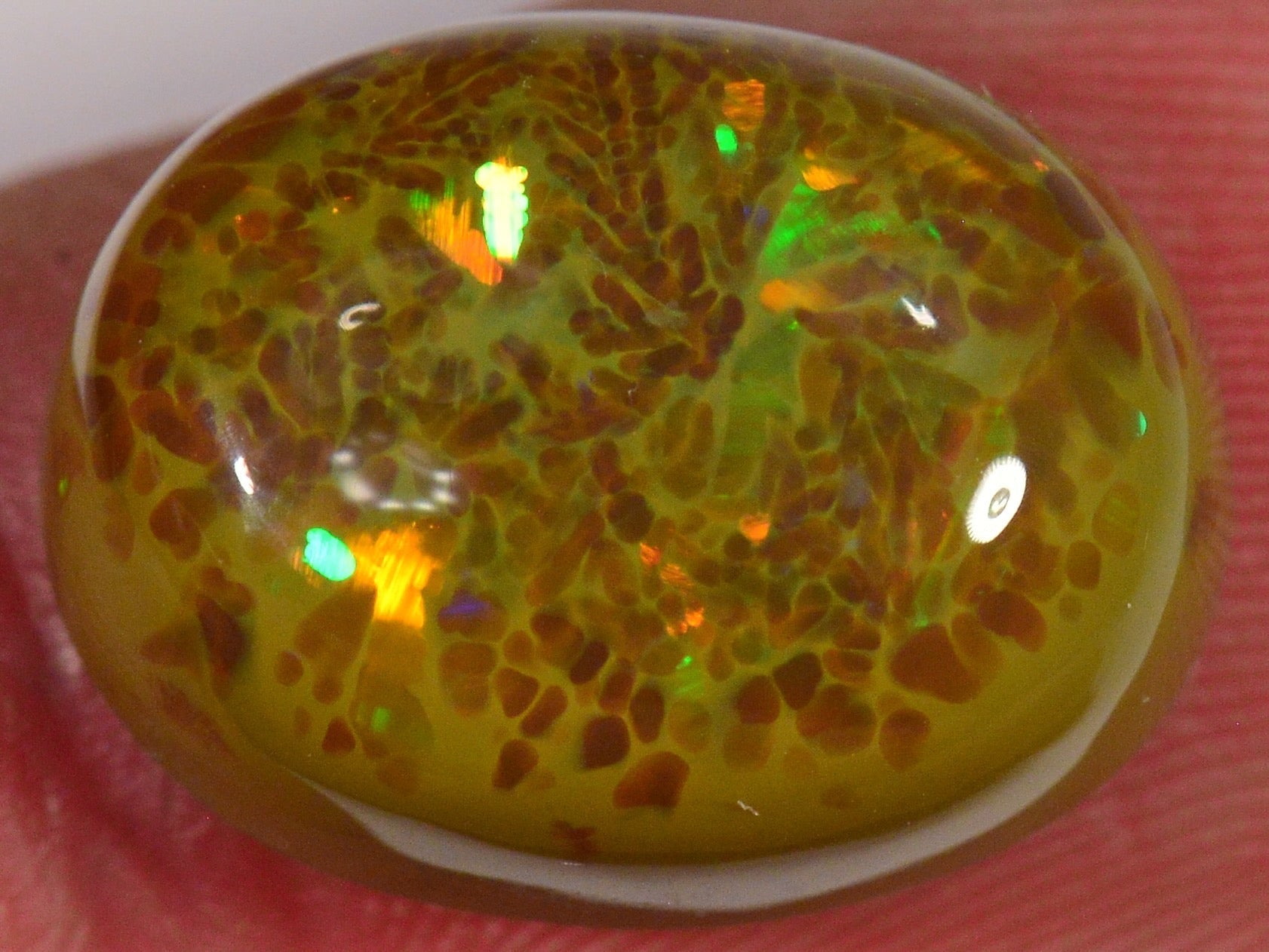 7.8 Karat - Seltener brauner Äthiopischer Welo Opal - DeinOpal