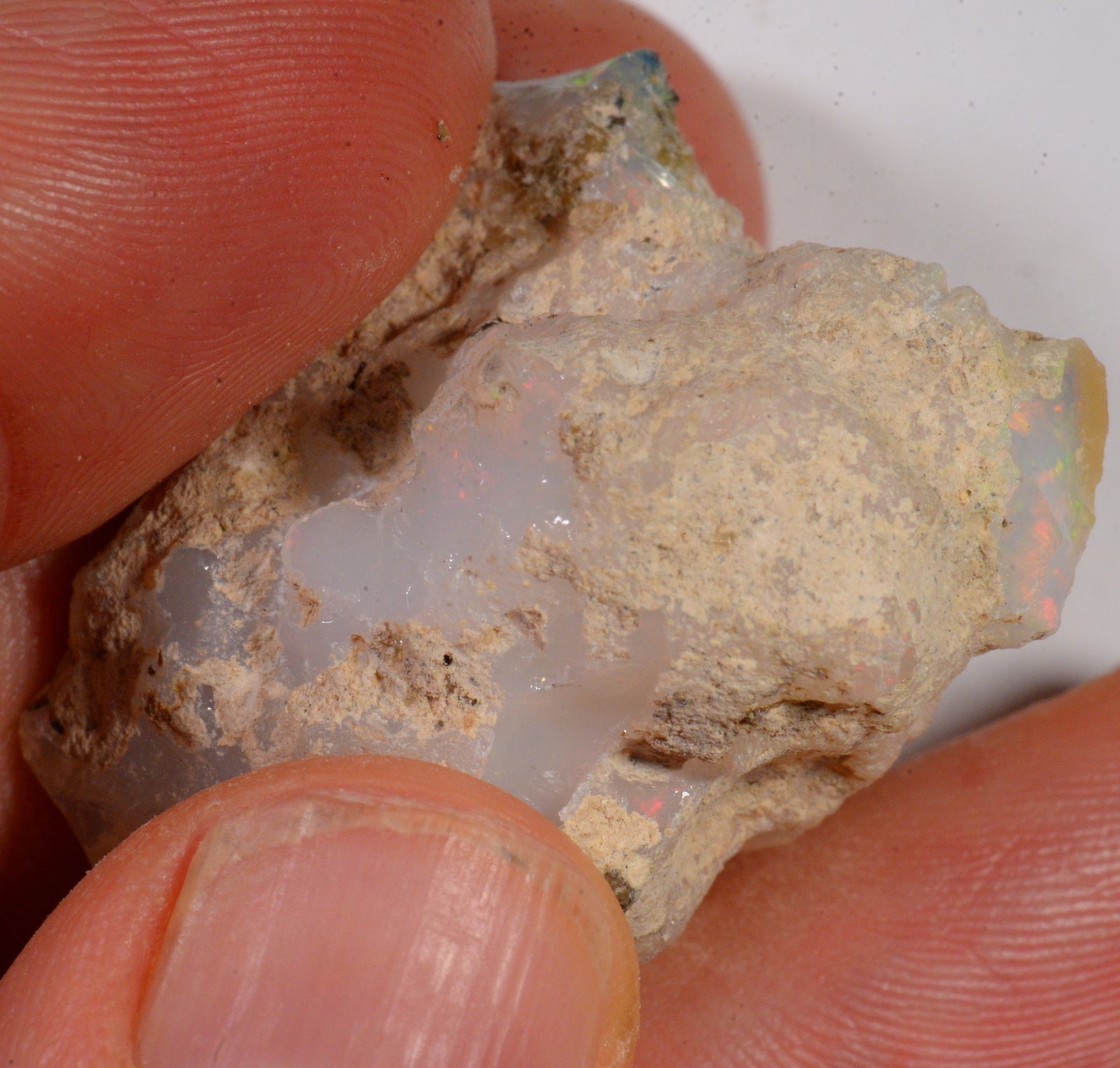 65.5 Karat - Roher Äthiopischer Welo Opal – natürlicher äthiopischer Welo Opal