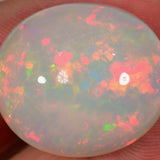 22.7 carat - Large beautiful Ethiopian Welo Opal 