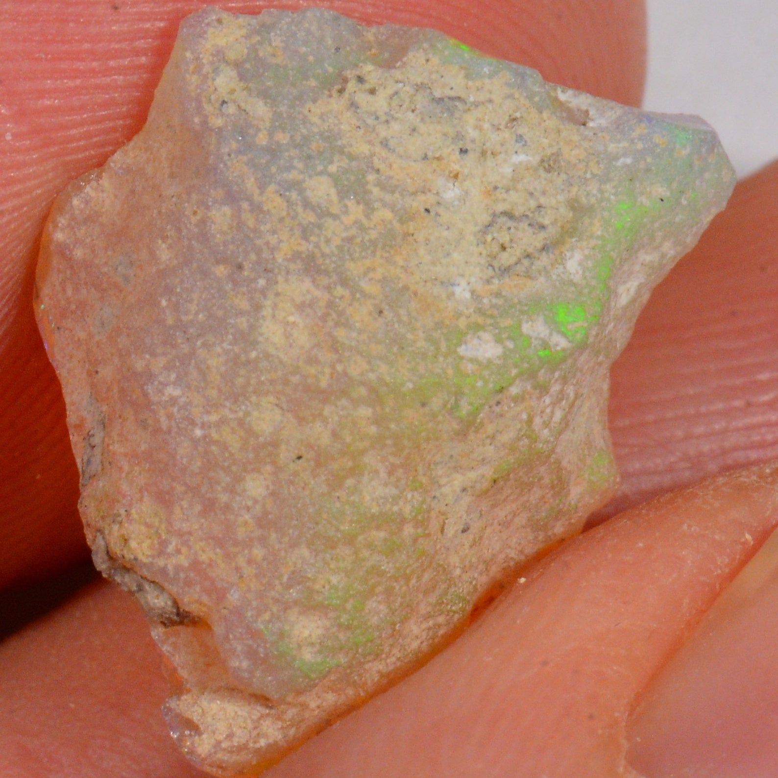 7.4 Karat - Roher Äthiopischer Welo Opal – natürlicher äthiopischer Welo Opal